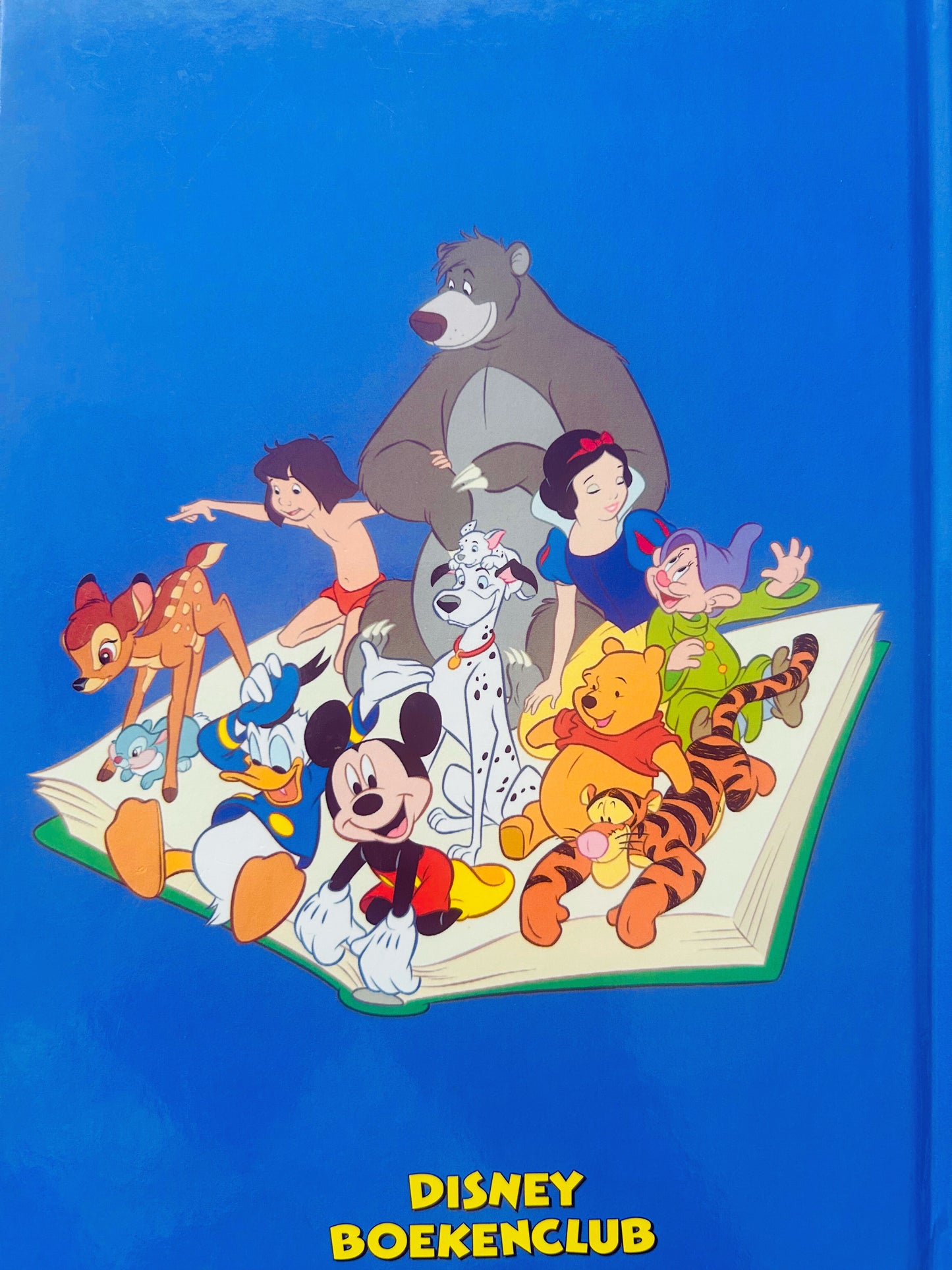 Disney boekenclub - Planes