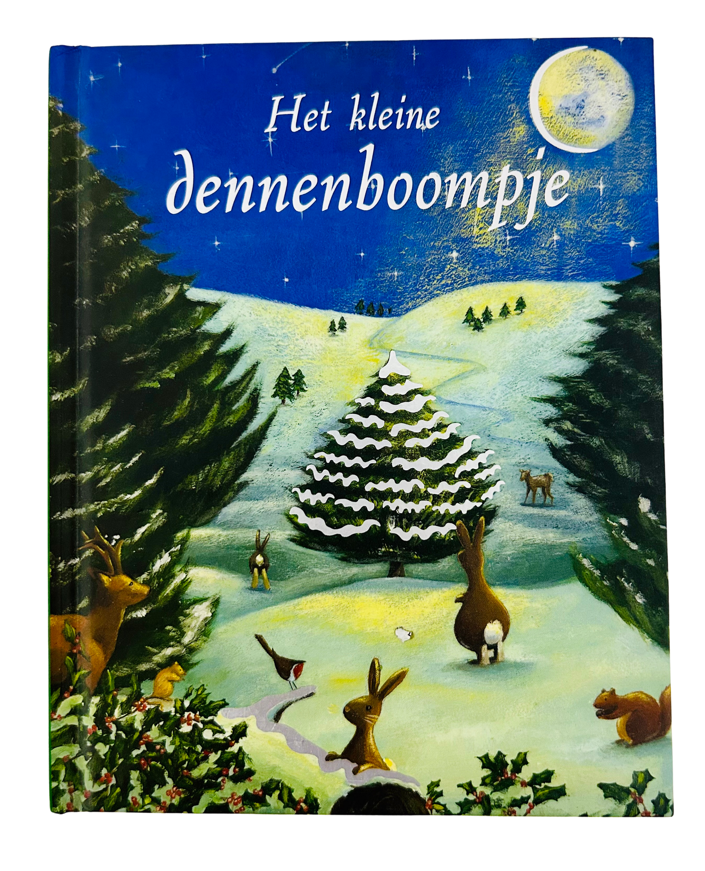 Kleine dennenboompje (het)
