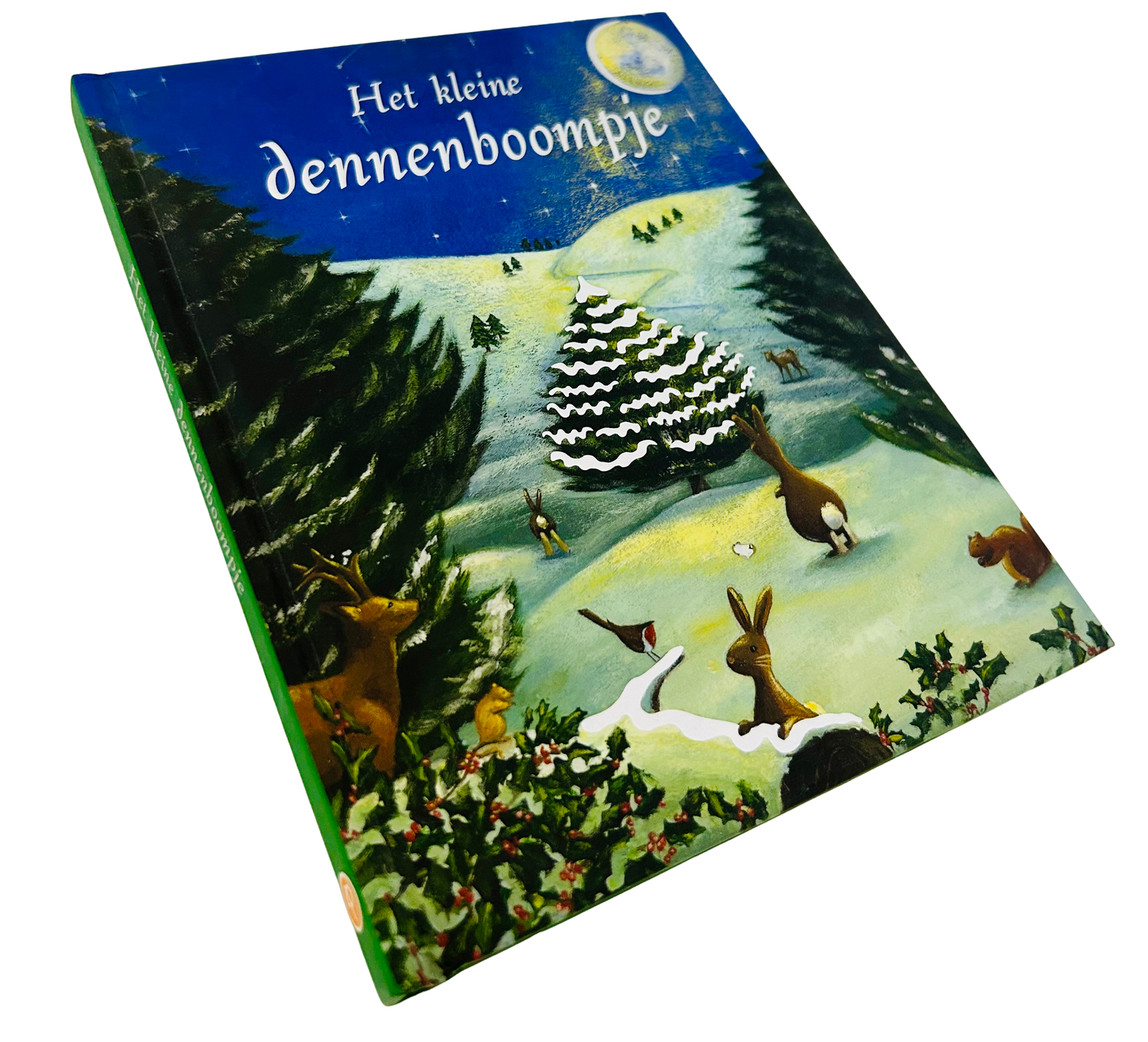 Kleine dennenboompje (het)