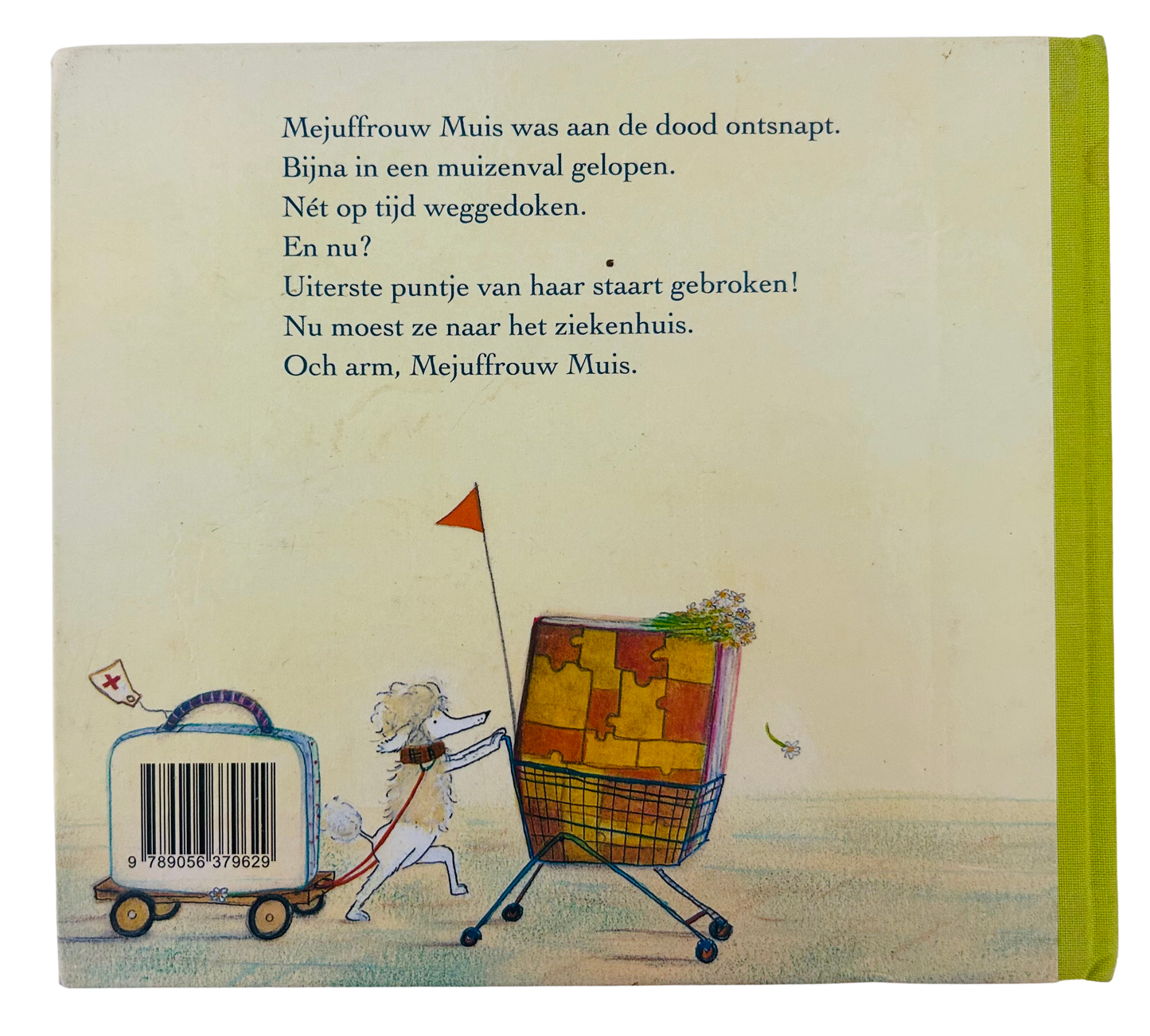 Mejuffrouw Muis in het ziekenhuis