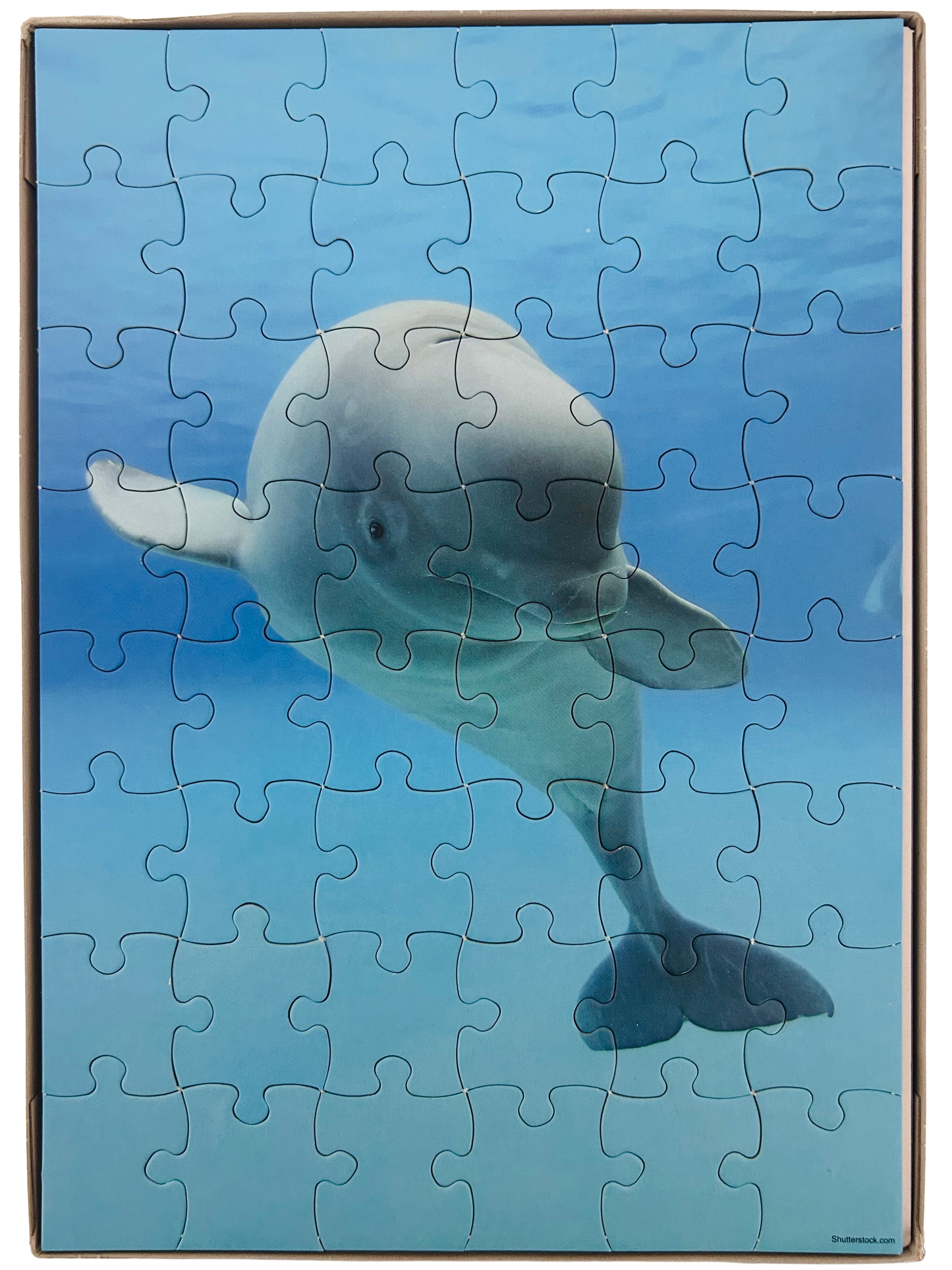 Dolphin 48-Piece Puzzle