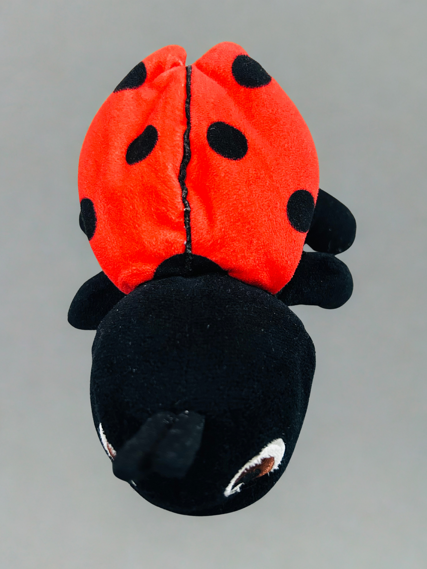 Ladybug Soft Toy