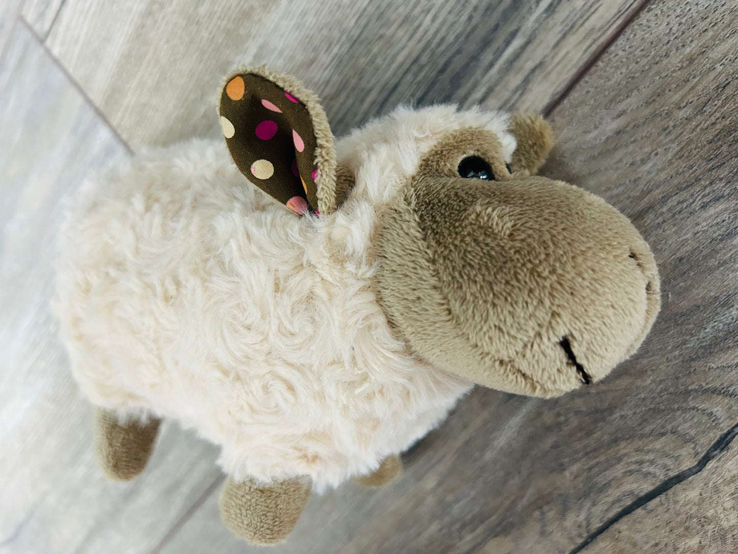 π Little cuddly Sheep