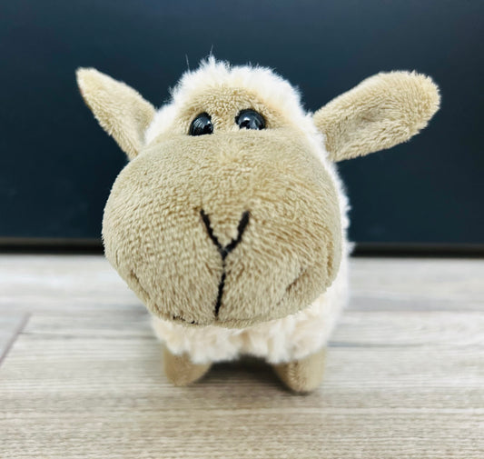 π Little cuddly Sheep