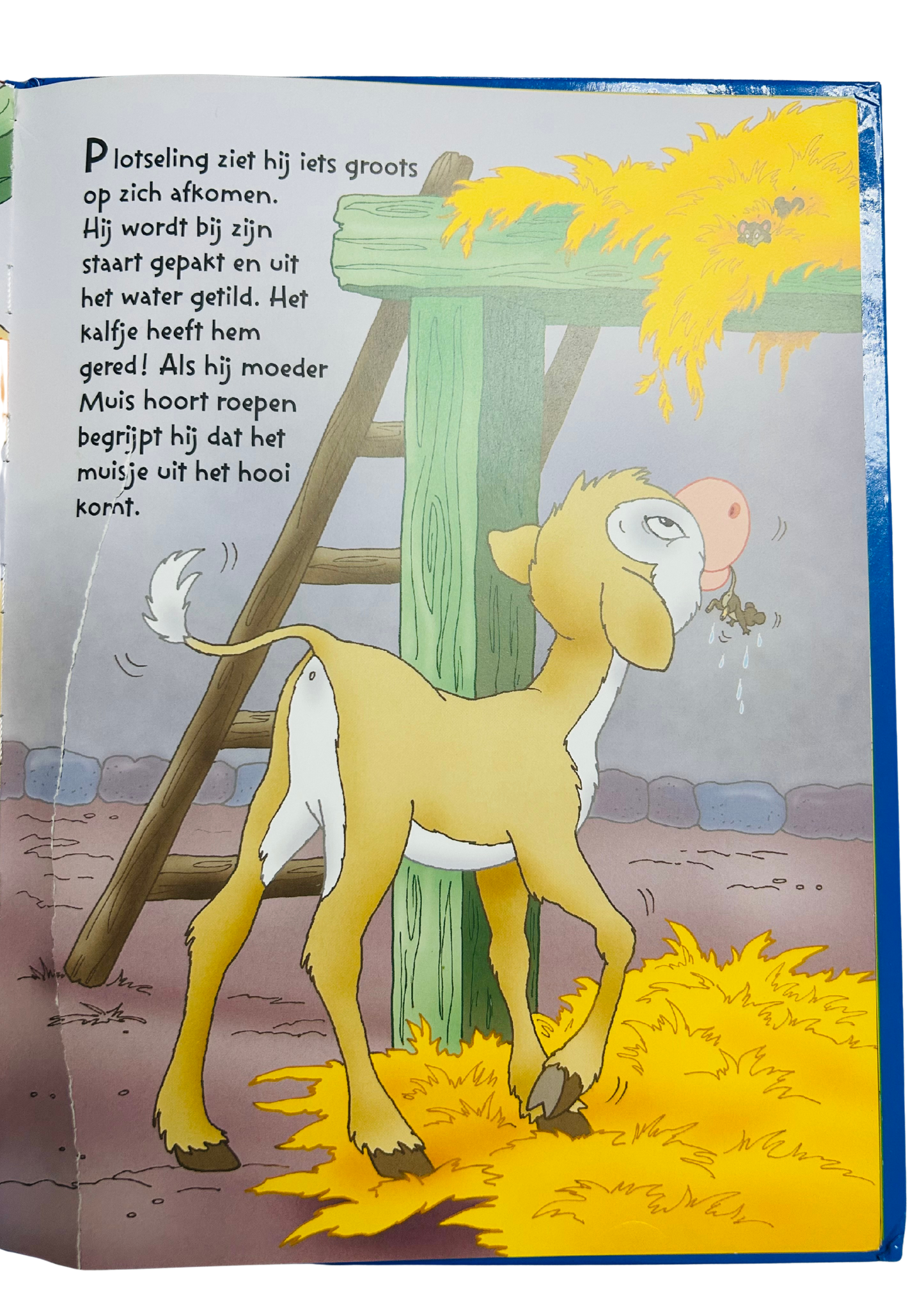 Het avontuur van Jojo