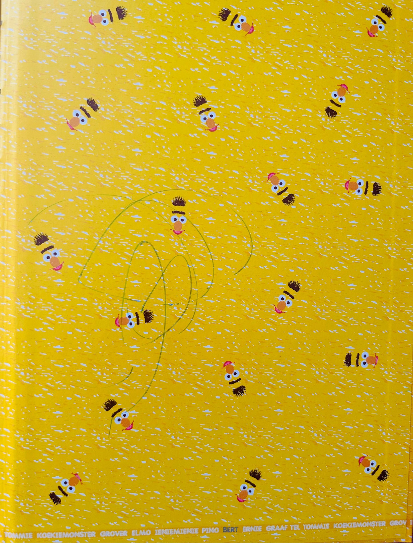 Bert en de vrolijke picknick