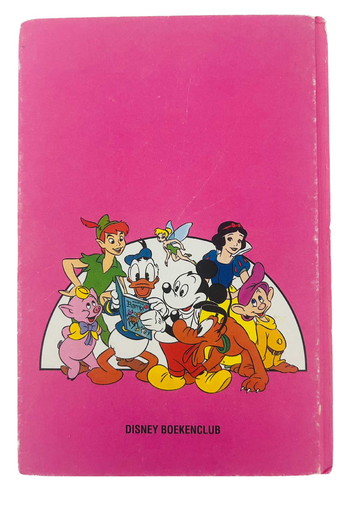 Duck Tales: Lizzy en Simon de schildpad