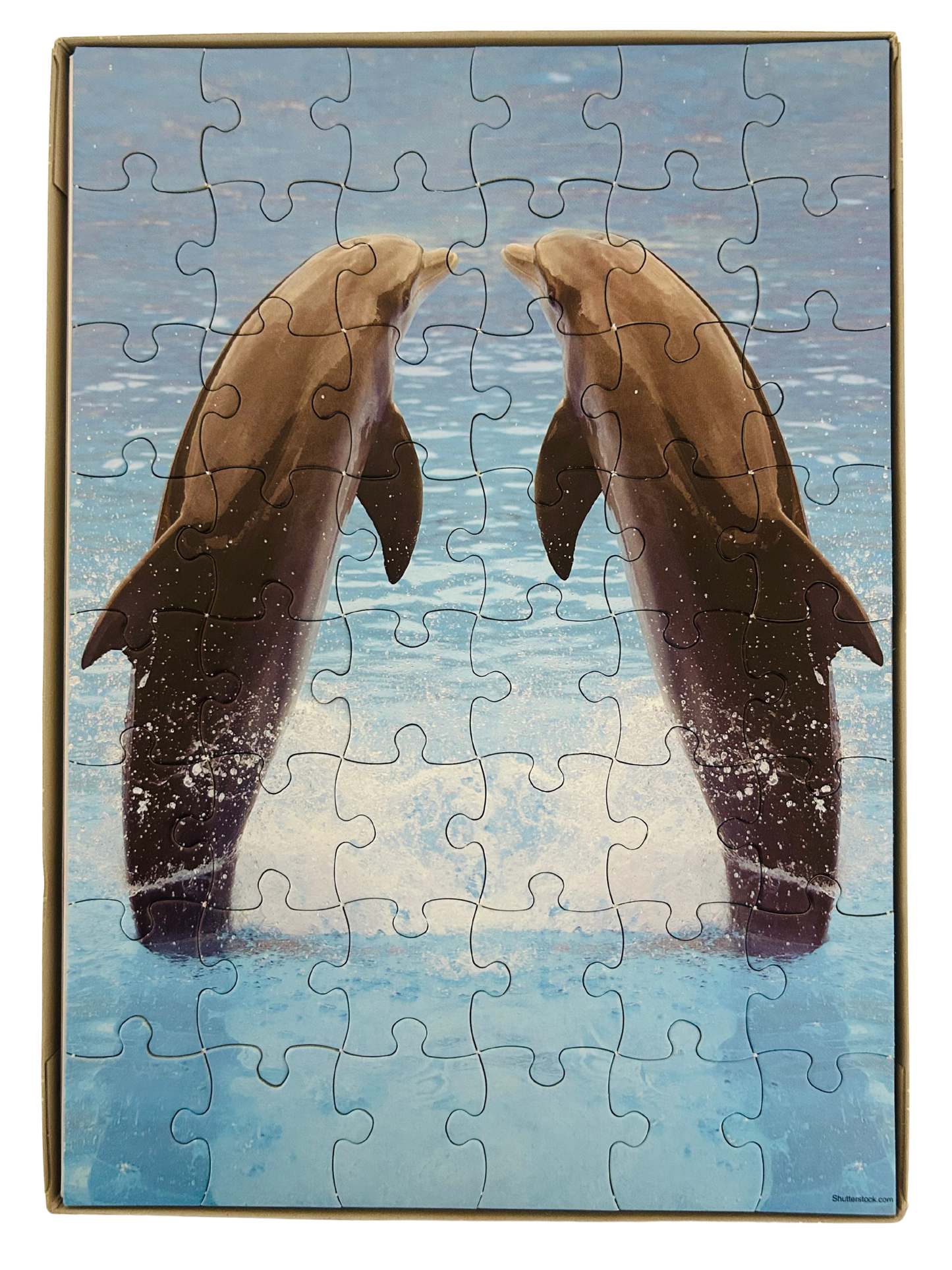 Dolphin 48-Piece Puzzle