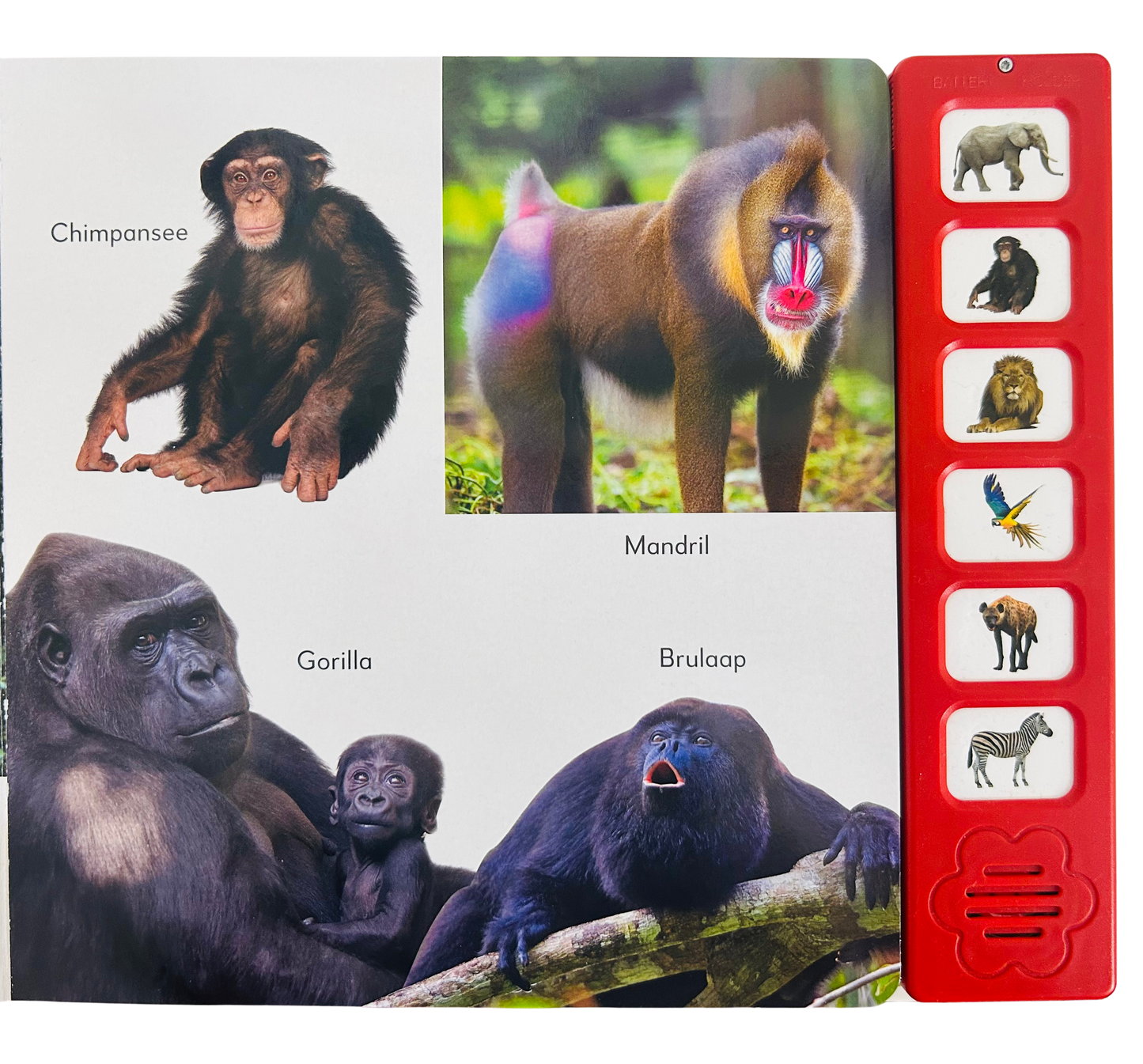 Luisteren Naar Wilde Dieren Geluidenboek