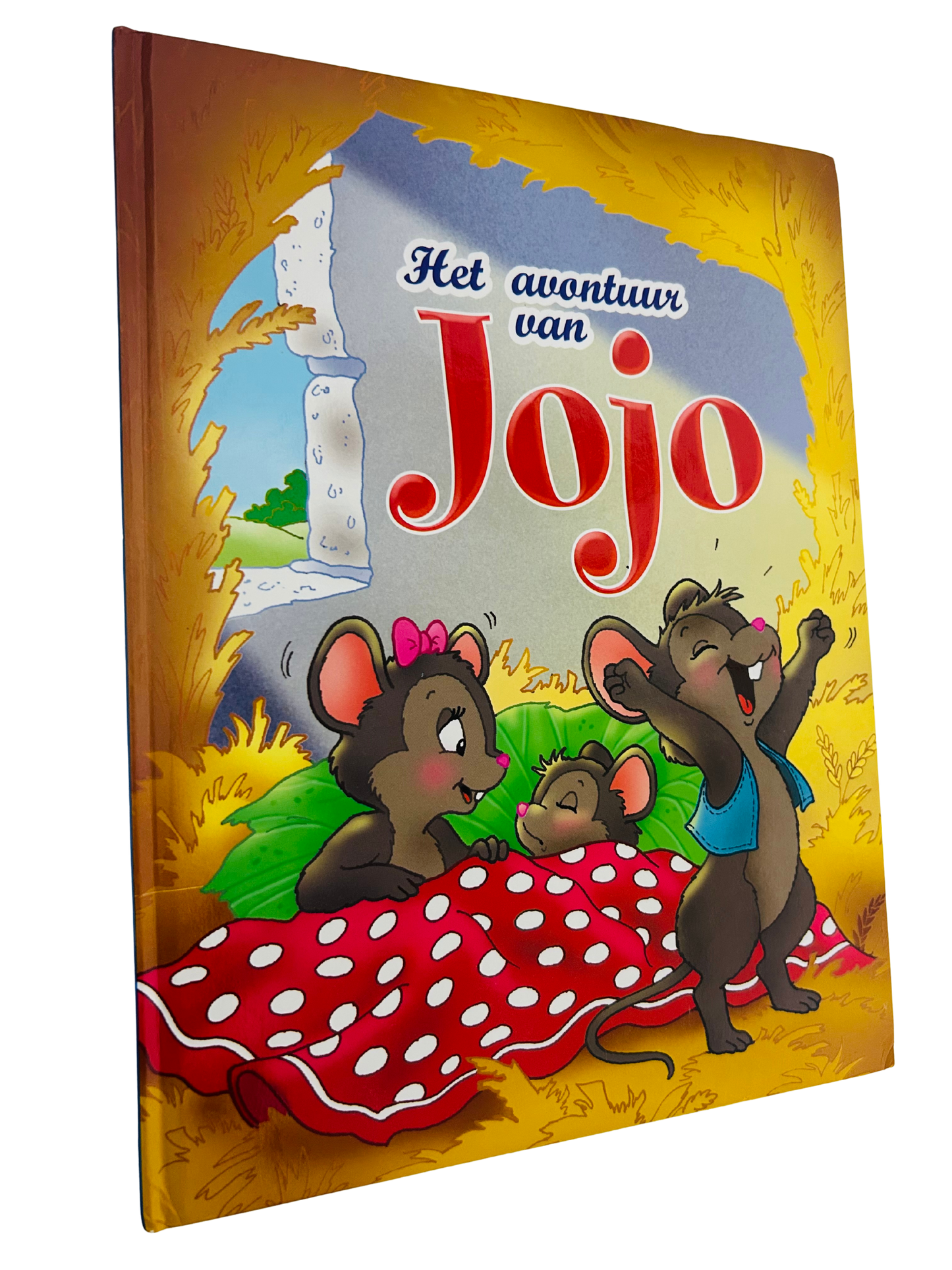 Het avontuur van Jojo