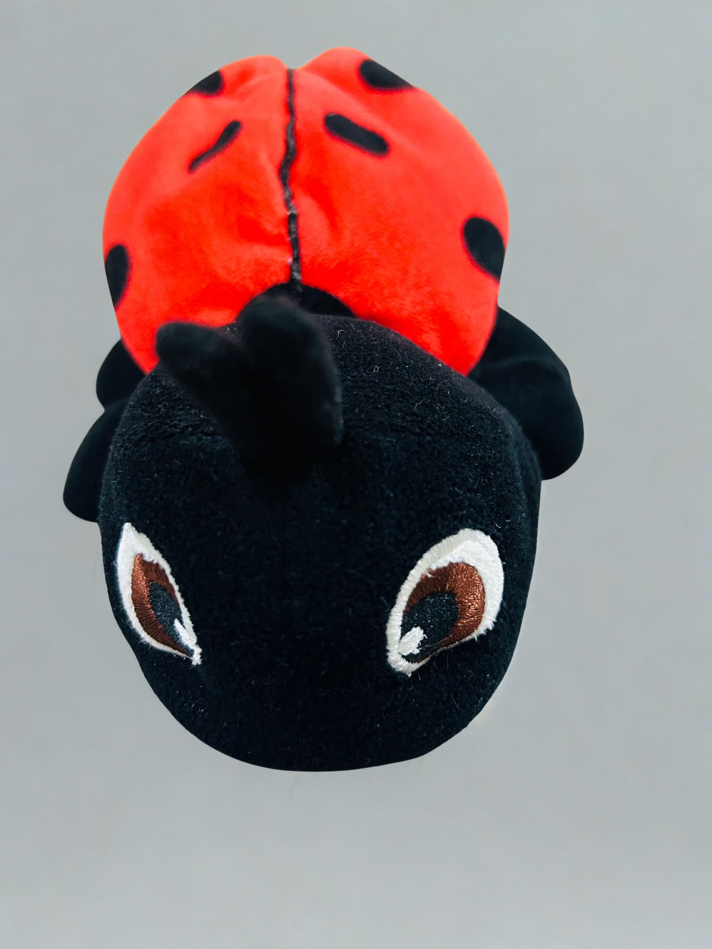 Ladybug Soft Toy