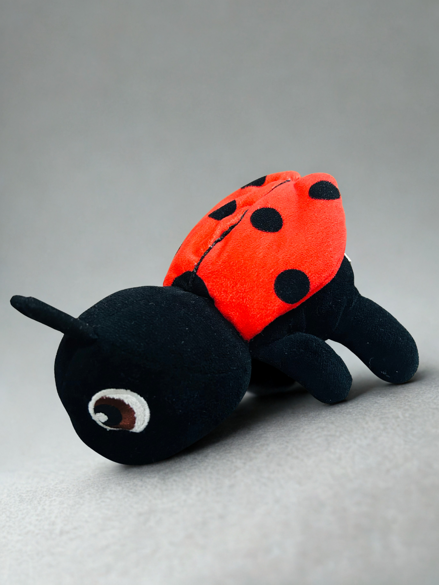 Ladybug Soft Toy