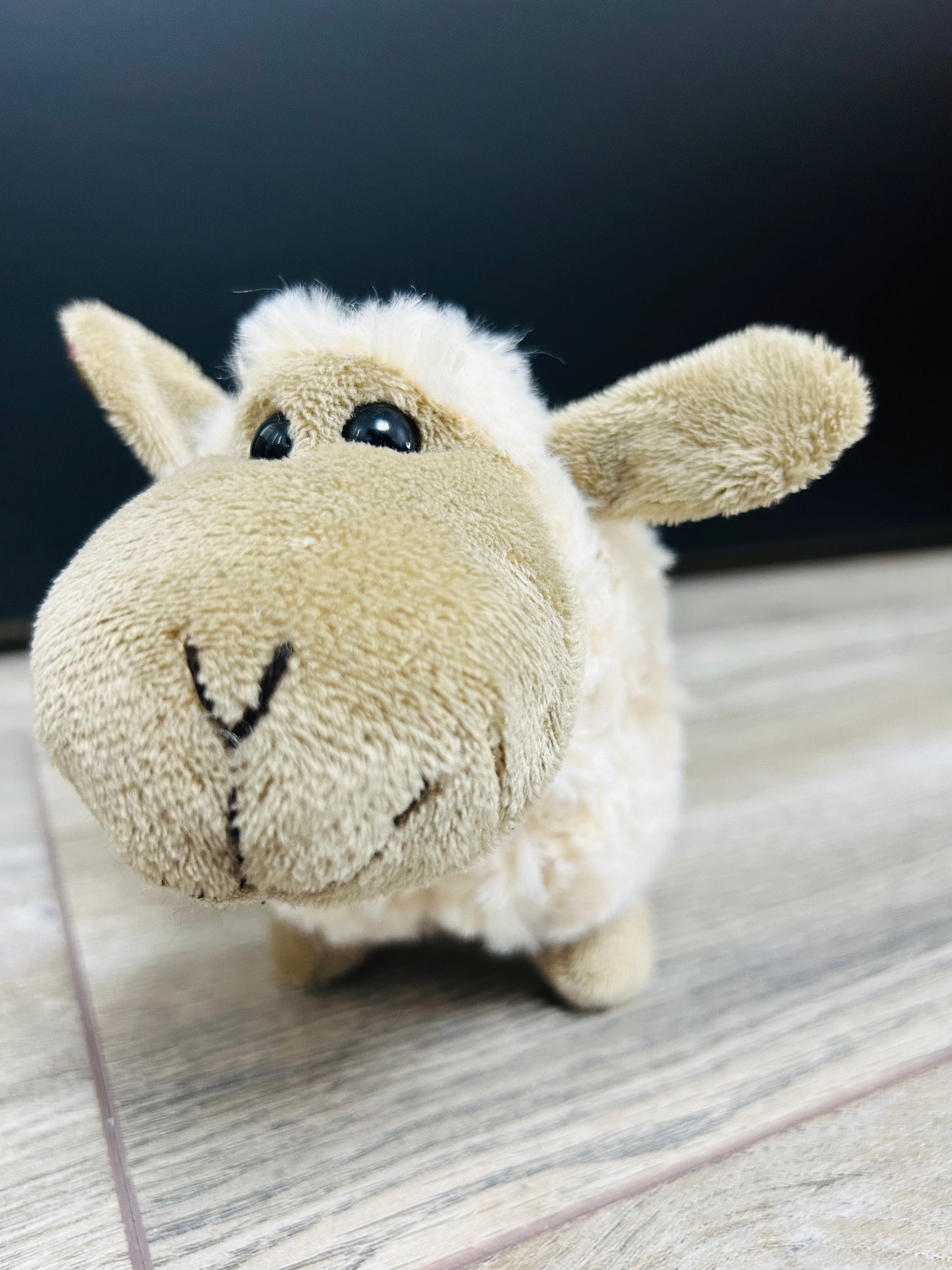 🐑 Little cuddly Sheep