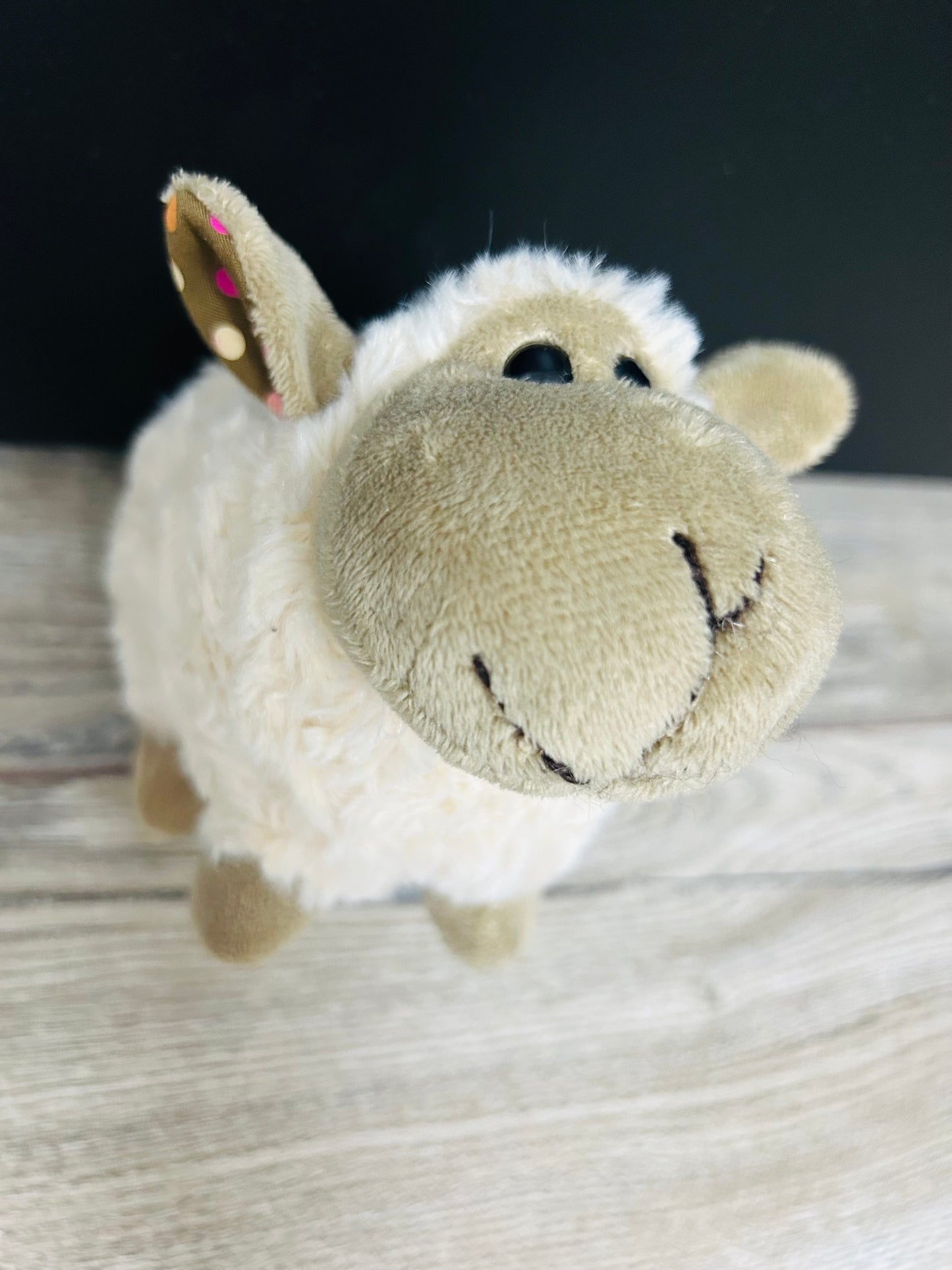 🐑 Little cuddly Sheep