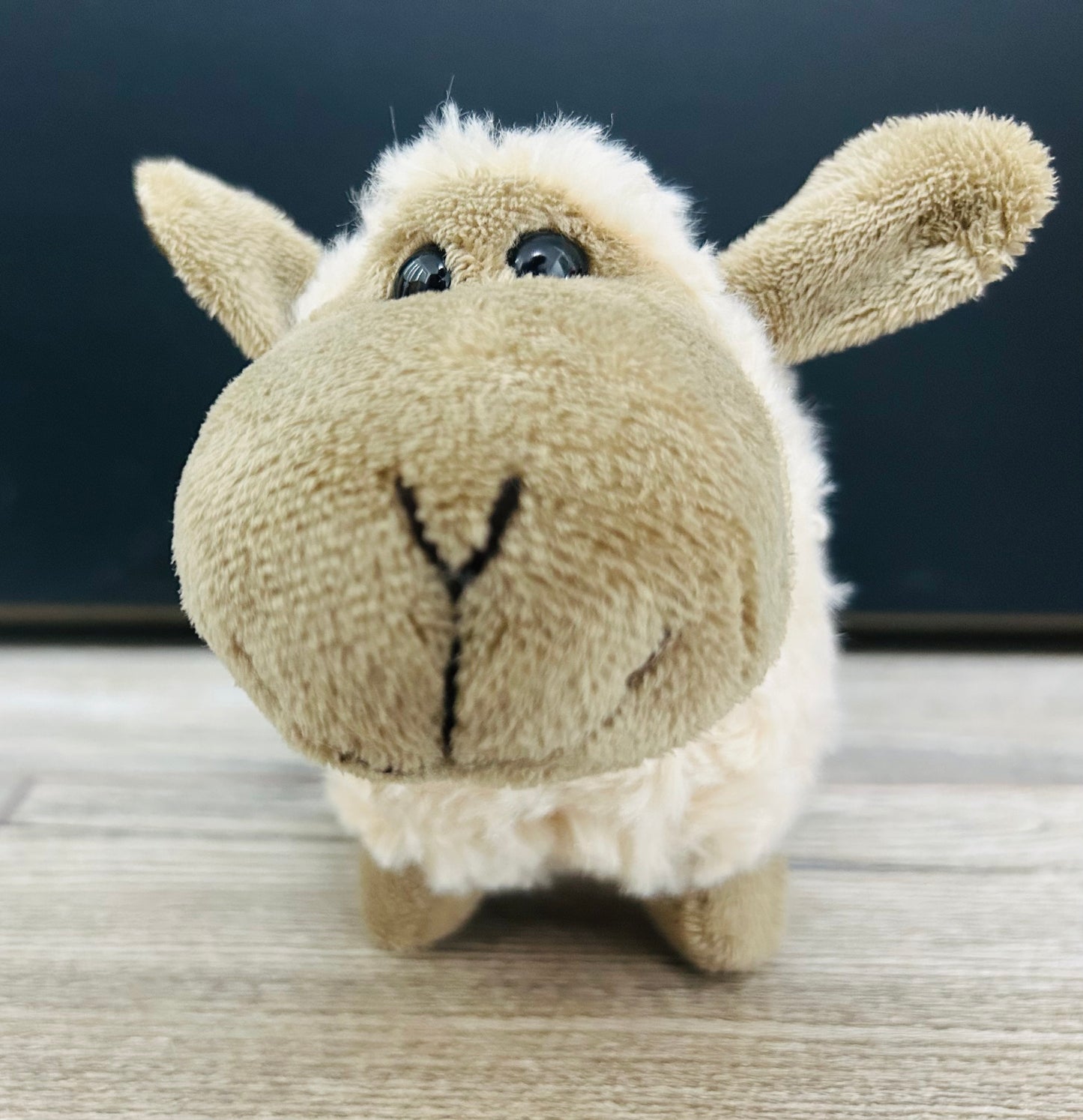 🐑 Little cuddly Sheep