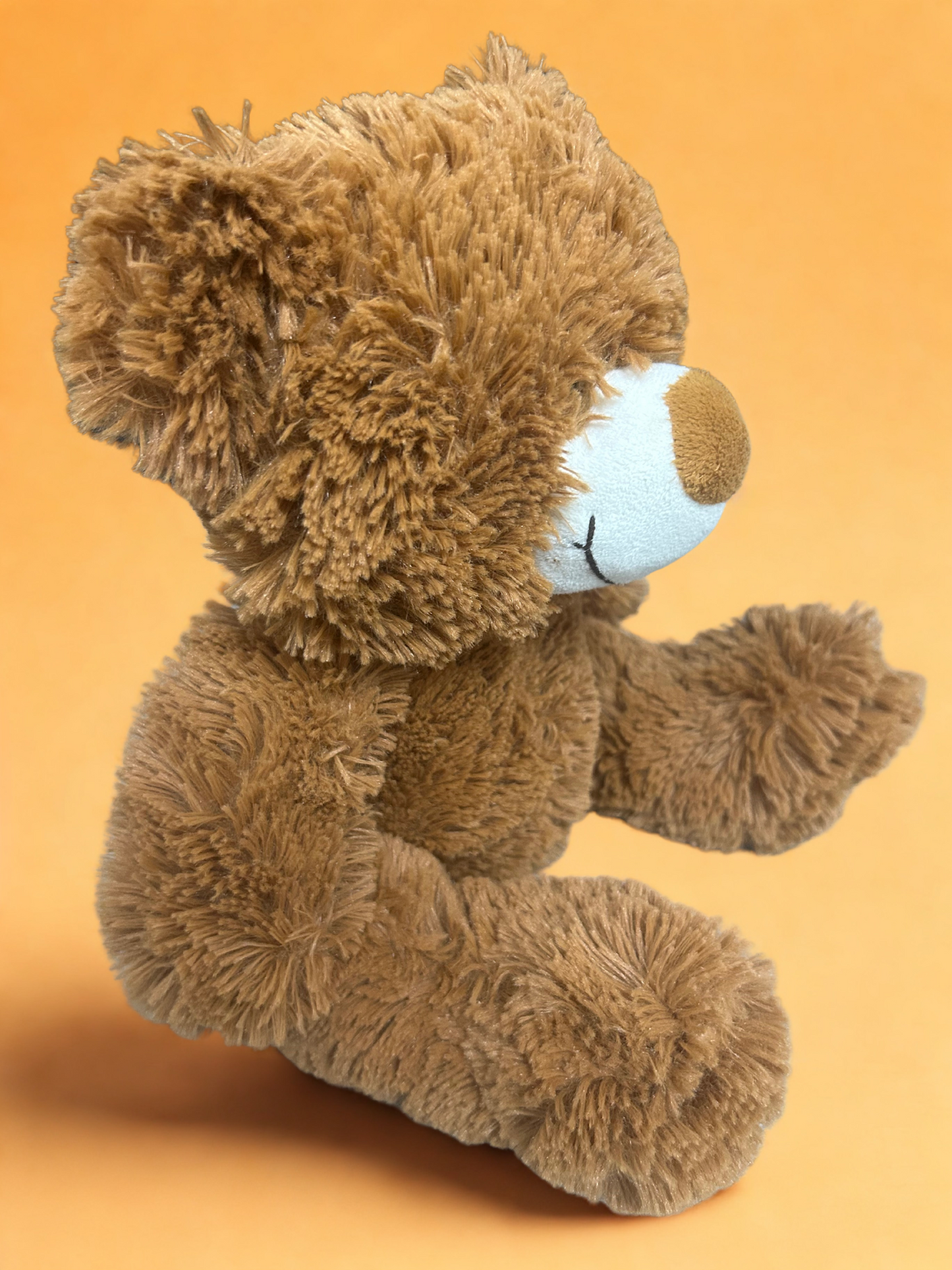 Brown Teddy Bear