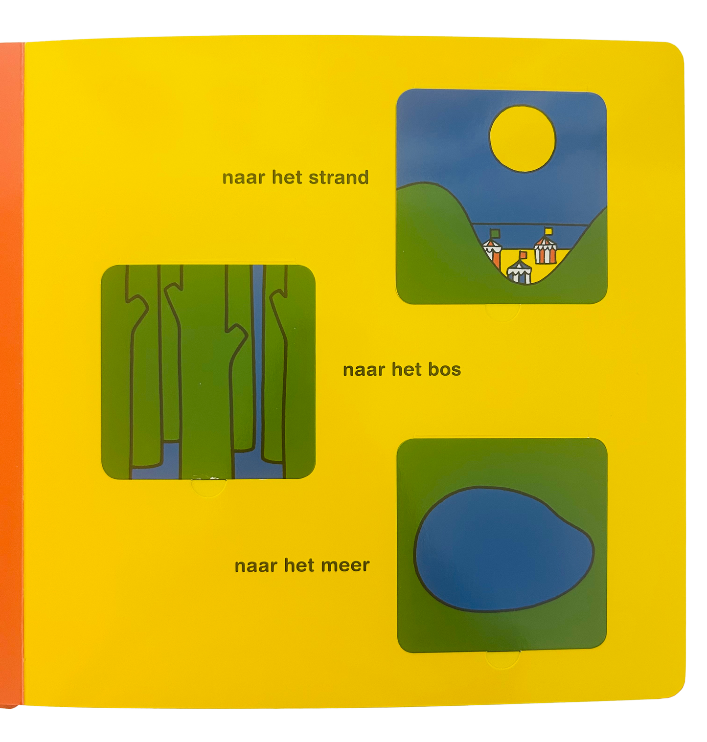 Het grote nijntje flapjesboek