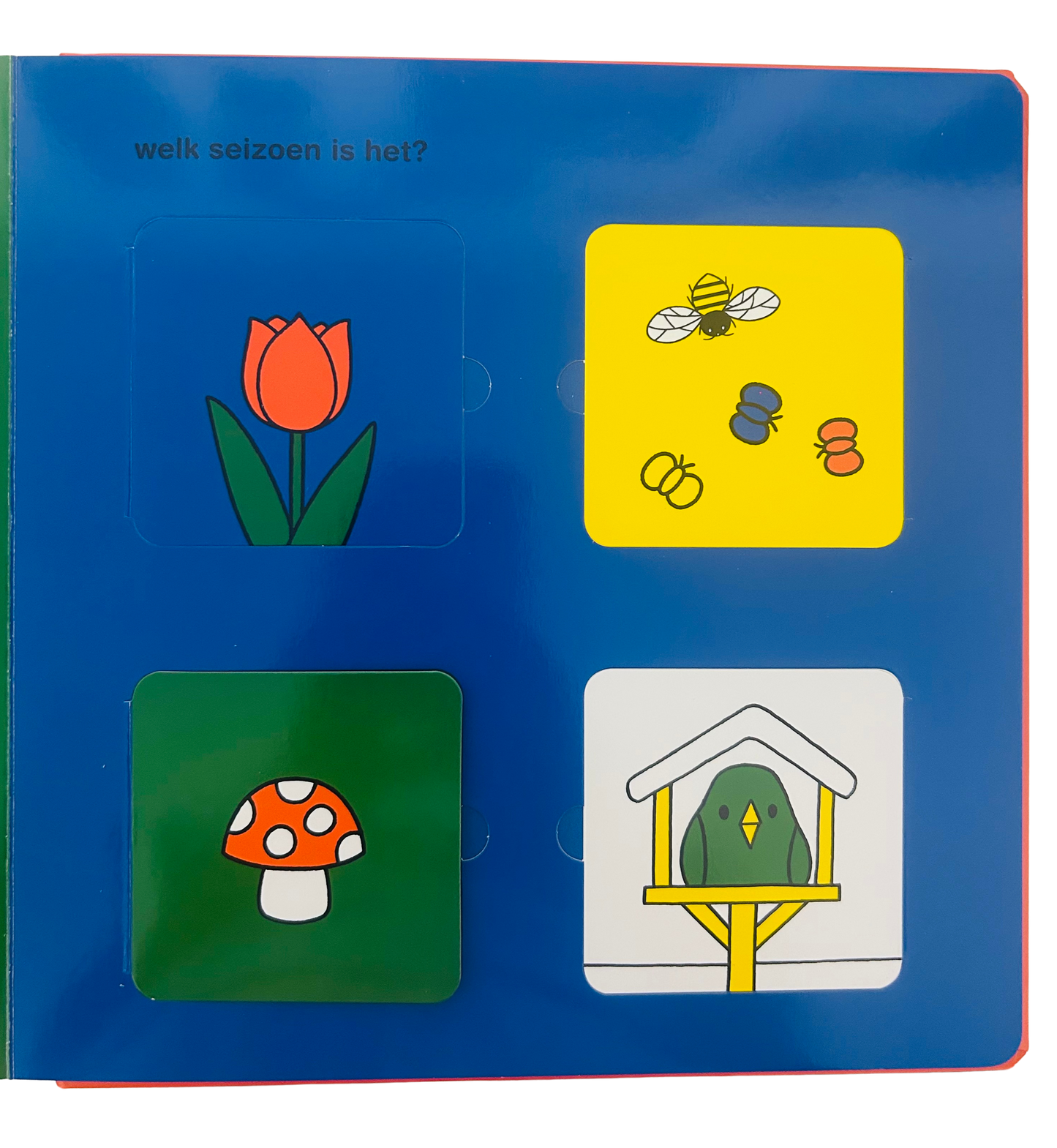 Het grote nijntje flapjesboek